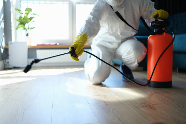 Reliable Biohazard contractor in Saint Stephen, SC by Trauma Clean Pros